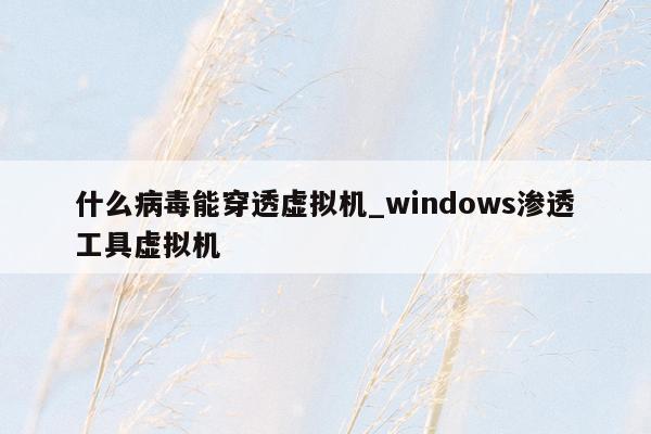 什么病毒能穿透虚拟机_windows渗透工具虚拟机