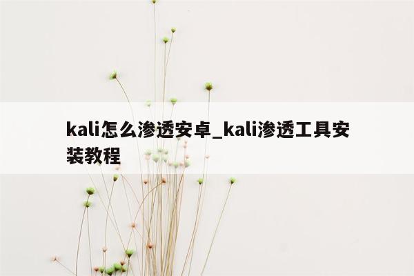 kali怎么渗透安卓_kali渗透工具安装教程