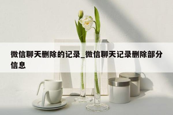 微信聊天删除的记录_微信聊天记录删除部分信息