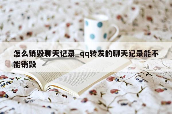 怎么销毁聊天记录_qq转发的聊天记录能不能销毁