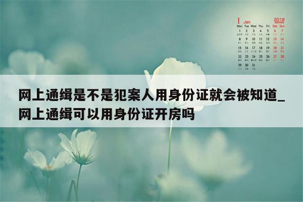 网上通缉是不是犯案人用身份证就会被知道_网上通缉可以用身份证开房吗