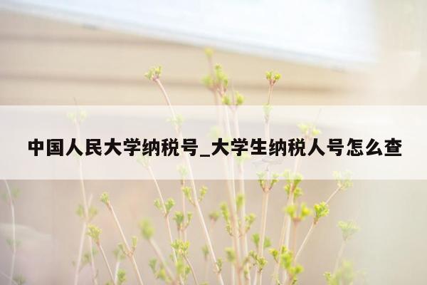 中国人民大学纳税号_大学生纳税人号怎么查