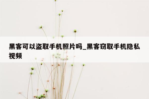 黑客可以盗取手机照片吗_黑客窃取手机隐私视频
