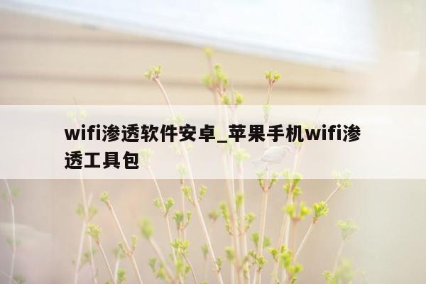 wifi渗透软件安卓_苹果手机wifi渗透工具包