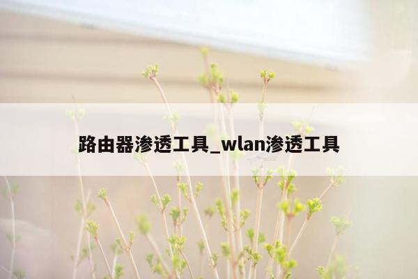 路由器渗透工具_wlan渗透工具