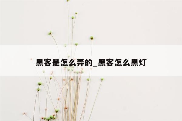 黑客是怎么弄的_黑客怎么黑灯