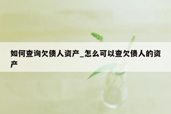 如何查询欠债人资产_怎么可以查欠债人的资产