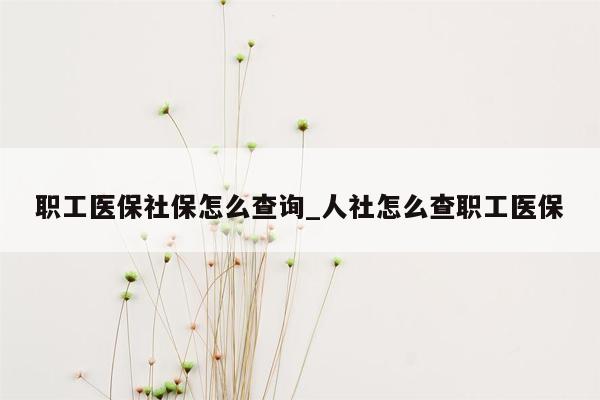 职工医保社保怎么查询_人社怎么查职工医保