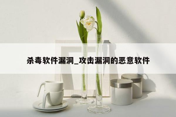 杀毒软件漏洞_攻击漏洞的恶意软件