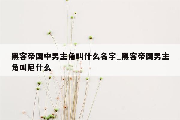 黑客帝国中男主角叫什么名字_黑客帝国男主角叫尼什么