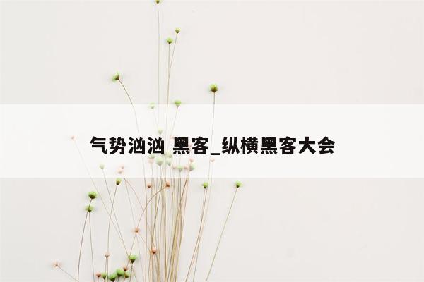 气势汹汹 黑客_纵横黑客大会