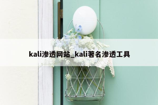 kali渗透网站_kali著名渗透工具