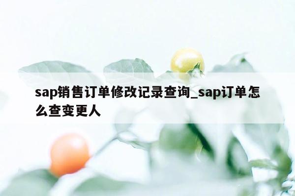 sap销售订单修改记录查询_sap订单怎么查变更人