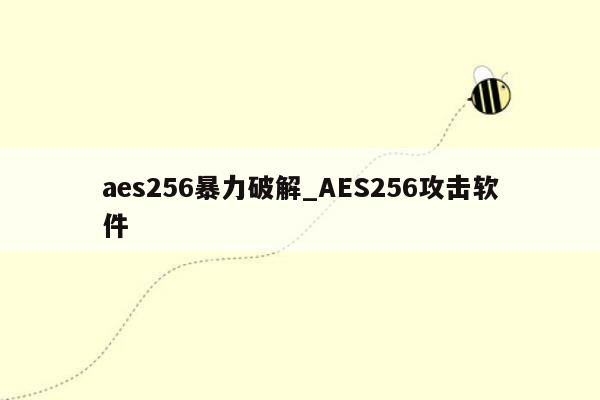 aes256暴力破解_AES256攻击软件
