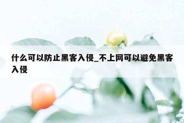 什么可以防止黑客入侵_不上网可以避免黑客入侵