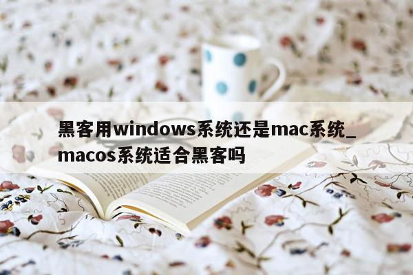 黑客用windows系统还是mac系统_macos系统适合黑客吗