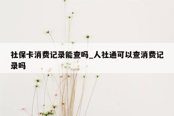 社保卡消费记录能查吗_人社通可以查消费记录吗