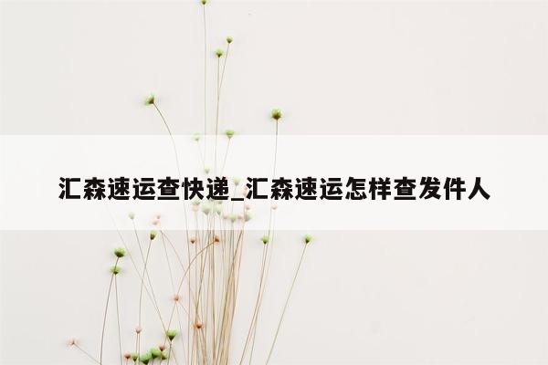 汇森速运查快递_汇森速运怎样查发件人