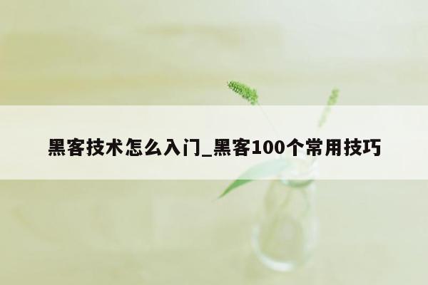 黑客技术怎么入门_黑客100个常用技巧