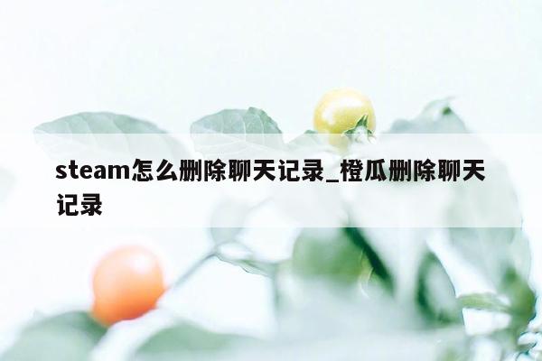 steam怎么删除聊天记录_橙瓜删除聊天记录