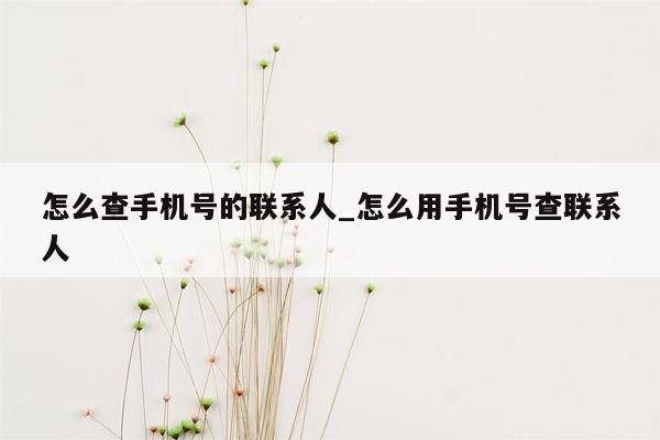 怎么查手机号的联系人_怎么用手机号查联系人