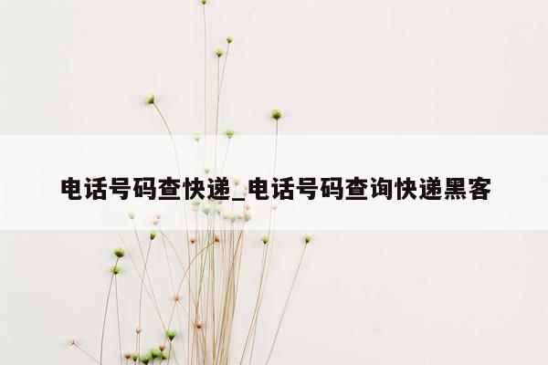 电话号码查快递_电话号码查询快递黑客