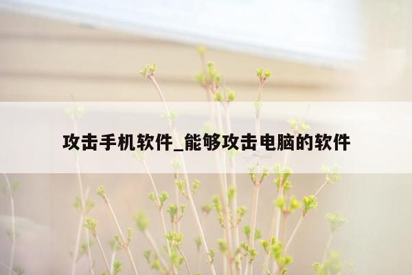 攻击手机软件_能够攻击电脑的软件