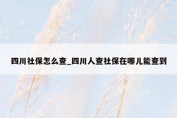 四川社保怎么查_四川人查社保在哪儿能查到