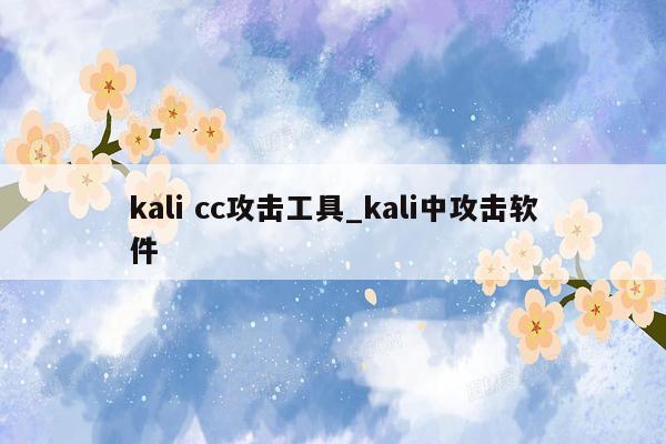 kali cc攻击工具_kali中攻击软件