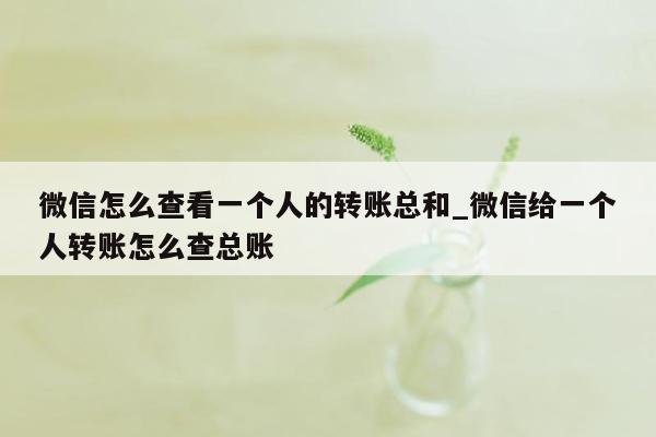 微信怎么查看一个人的转账总和_微信给一个人转账怎么查总账