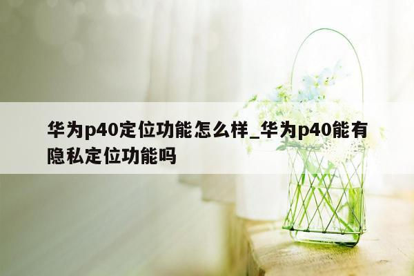 华为p40定位功能怎么样_华为p40能有隐私定位功能吗