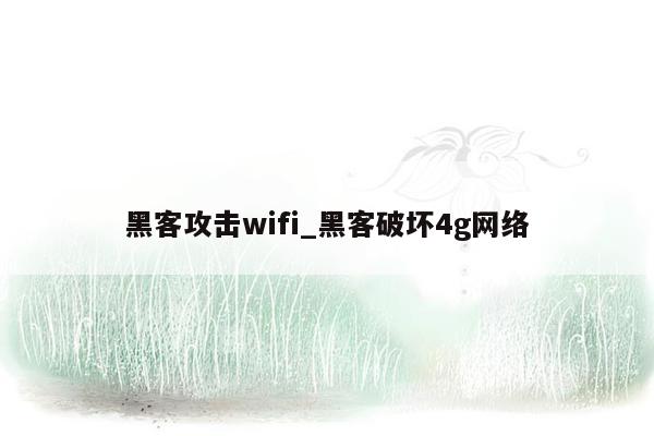 黑客攻击wifi_黑客破坏4g网络