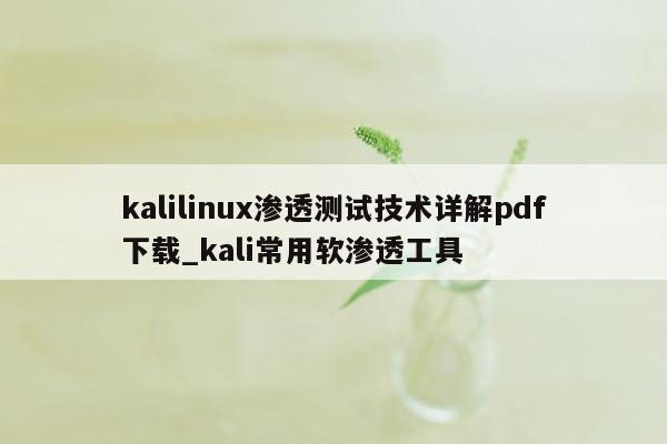 kalilinux渗透测试技术详解pdf下载_kali常用软渗透工具
