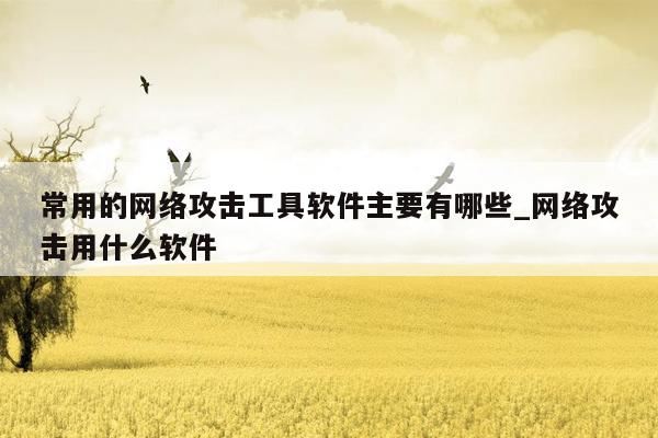 常用的网络攻击工具软件主要有哪些_网络攻击用什么软件