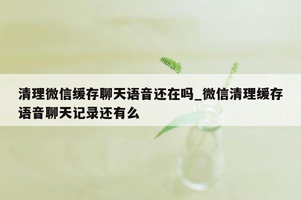 清理微信缓存聊天语音还在吗_微信清理缓存语音聊天记录还有么