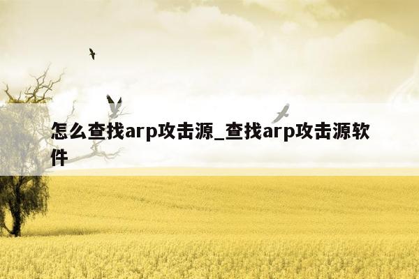 怎么查找arp攻击源_查找arp攻击源软件