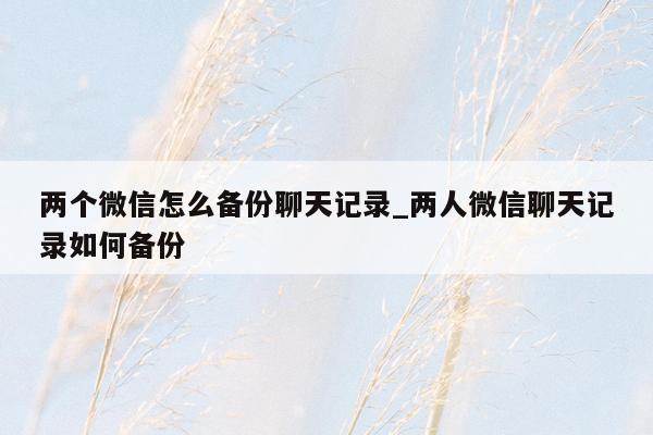 两个微信怎么备份聊天记录_两人微信聊天记录如何备份