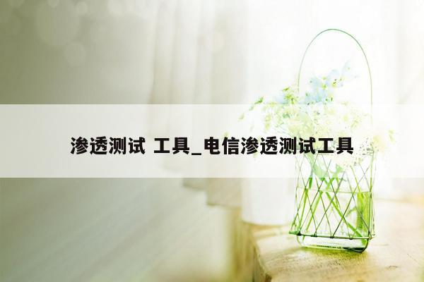 渗透测试 工具_电信渗透测试工具