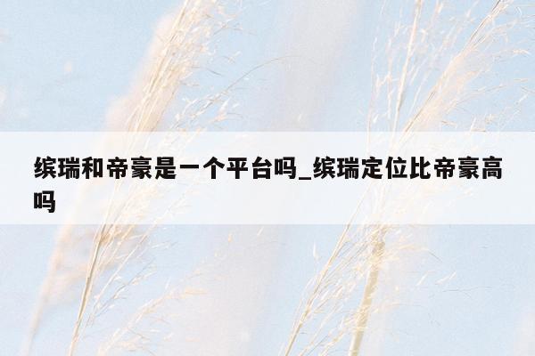 缤瑞和帝豪是一个平台吗_缤瑞定位比帝豪高吗