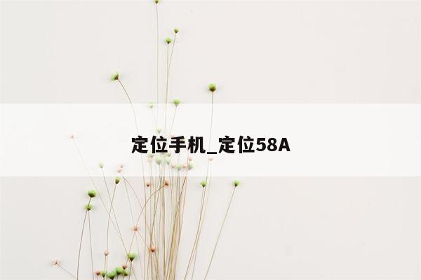 定位手机_定位58A