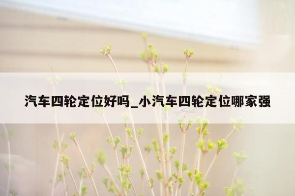 汽车四轮定位好吗_小汽车四轮定位哪家强