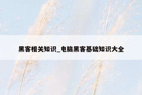 黑客相关知识_电脑黑客基础知识大全