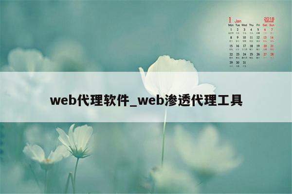 web代理软件_web渗透代理工具