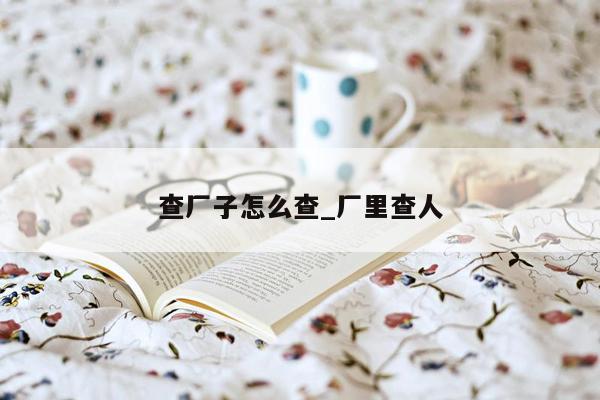 查厂子怎么查_厂里查人