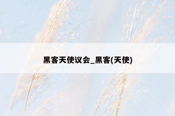 黑客天使议会_黑客(天使)