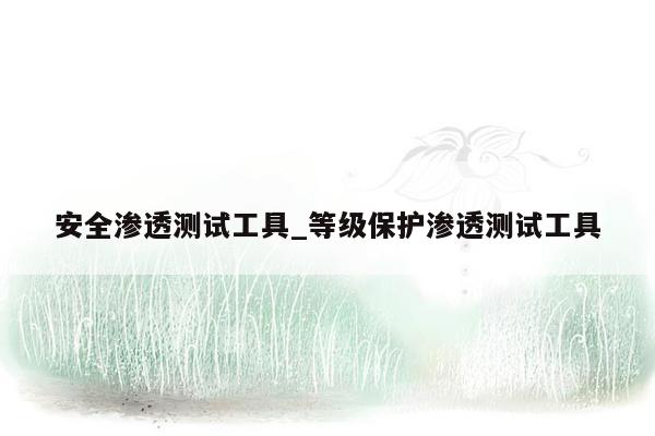 安全渗透测试工具_等级保护渗透测试工具