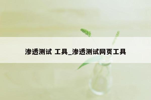 渗透测试 工具_渗透测试网页工具