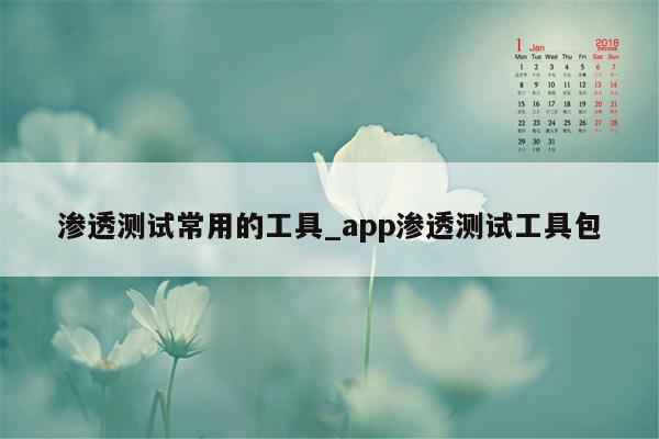 渗透测试常用的工具_app渗透测试工具包