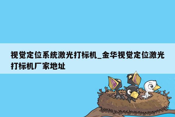 视觉定位系统激光打标机_金华视觉定位激光打标机厂家地址