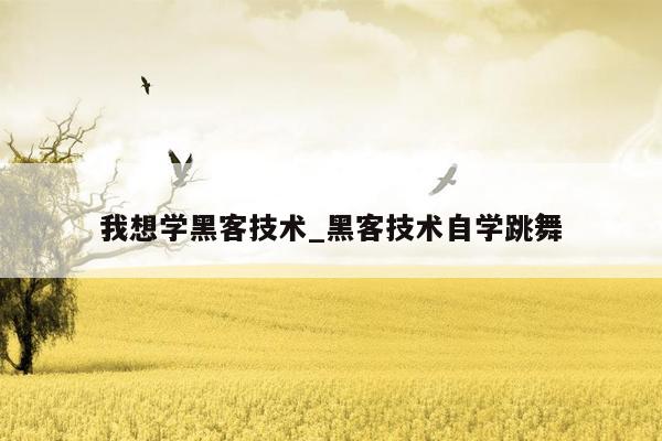 我想学黑客技术_黑客技术自学跳舞